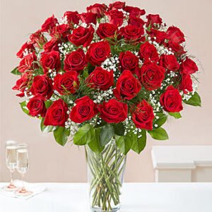 YOU ARE MINE FOREVER ! 48 RED ROSES