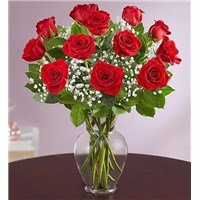 CLASSIC LOVE, 12 RED ROSES