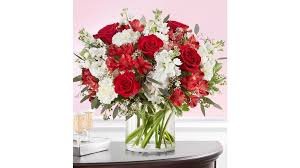 CRIMSON ROSE STANDARD