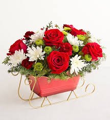 Dashing Through the Snow Sleigh