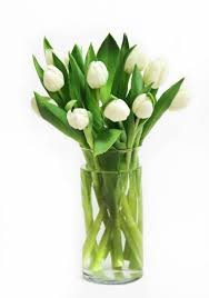 WHITE TULIPS IN A VASE