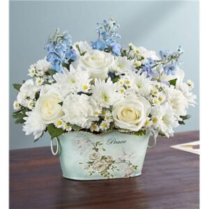 Peace And Healing Blue & White