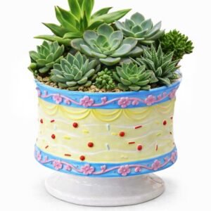 BIRTHDAY Succulent Garden