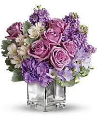 Sweet as Sugar DELUXE