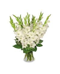 Tranquil Light White Gladiolus Vase