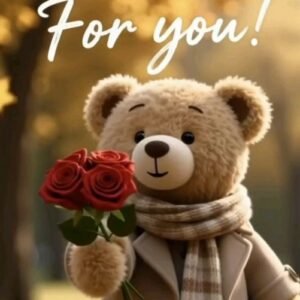 Stuffed Animal & Chocolate