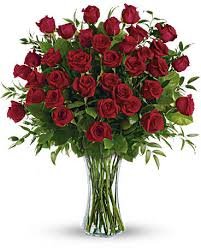 FEEL MY LOVE, 36 RED ROSES