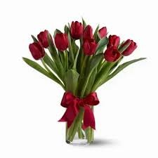 Radiantly Red Tulips