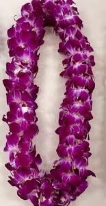 Graduation Double Orchid Lei-Purple