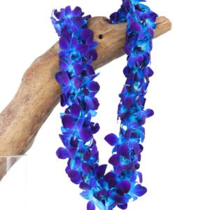 *hawaiian leis - orchid leis, blue leis,