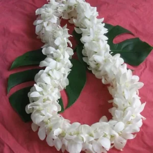 *Double White Orchid Lei
