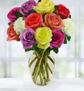 Dozen Assorted Roses