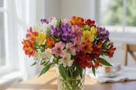 ***Mixed Alstroemeria Vased Bouquet