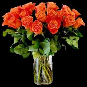 24 Orange Roses in a Vase
