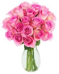 24 Pink Roses in a Vase