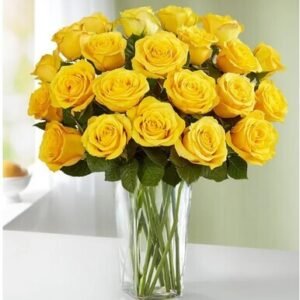24 Yellow Roses in a Vase