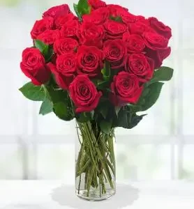 24 Red Roses in a Vase